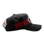 Dandy X Fuerza Regida “Distressed” Hats