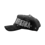 Gorra Dandy Hats x Fuerza Regida Universal Snapback Hat