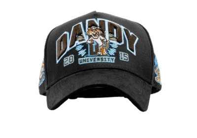 Dandy University Snapback Hat