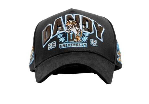 Dandy University Snapback Hat Dandy University Snapback Hat