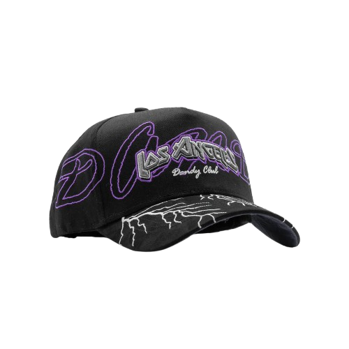 LA DANDY CLUB PURPLE STORM HAT