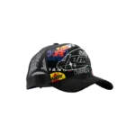 Dandy Hats Friends & Family Snapback Hat