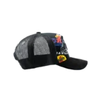 Dandy Hats Friends & Family Snapback Hat